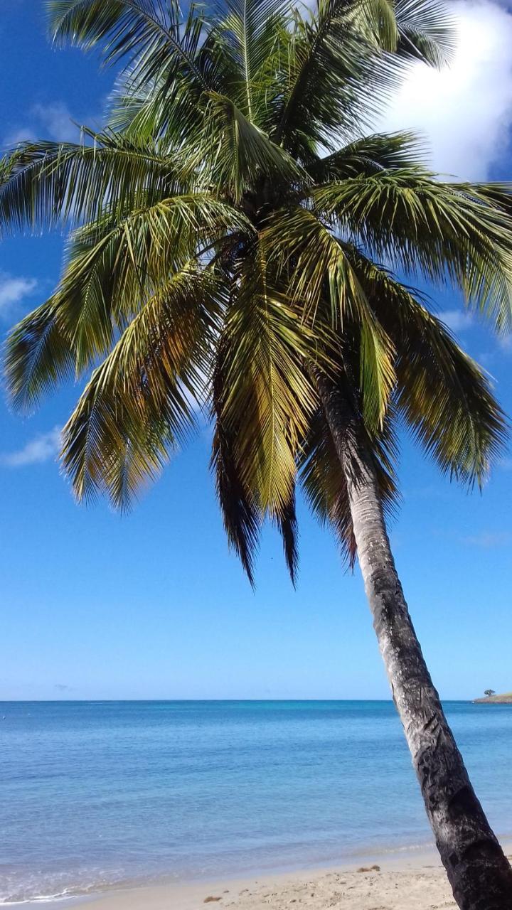 Апартаменты Palm View Laborie Экстерьер фото