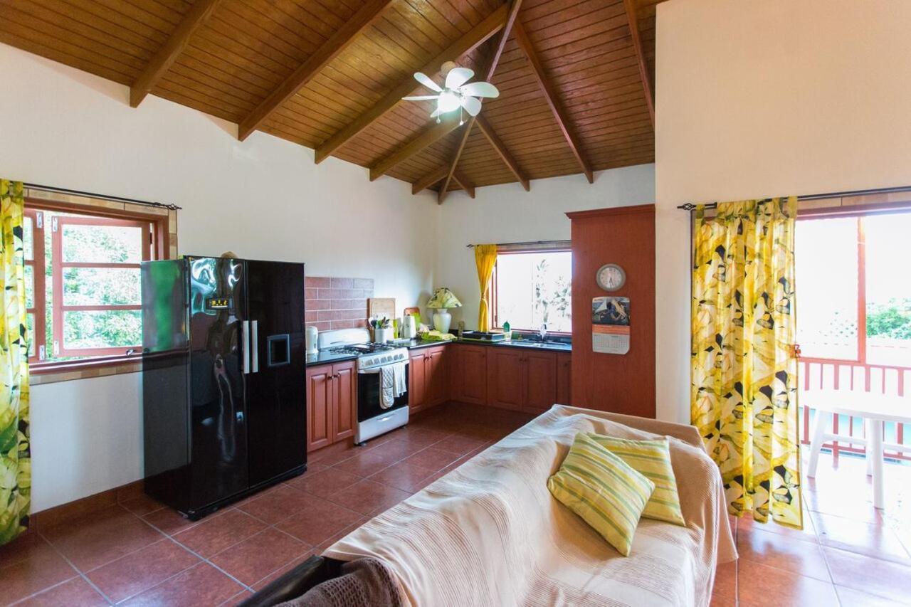 Апартаменты Palm View Laborie Экстерьер фото