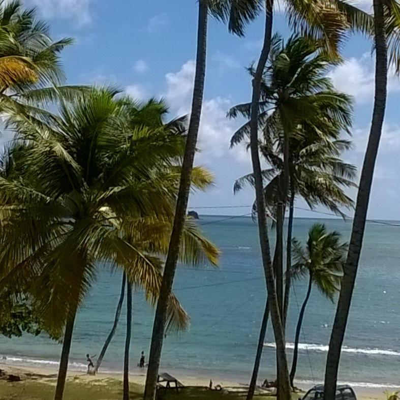 Апартаменты Palm View Laborie Экстерьер фото